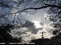 sunlight
