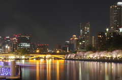 夜景