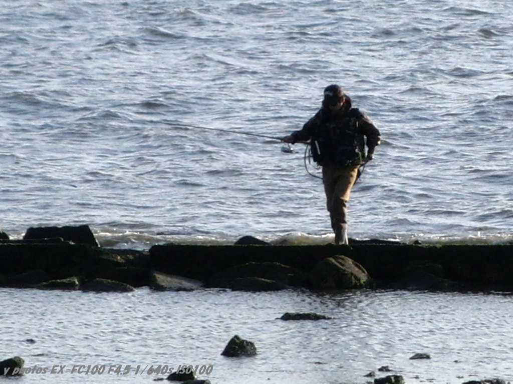 fisher