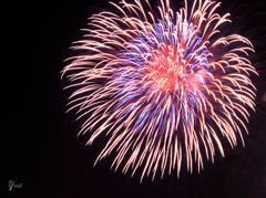 fireworks7