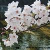 a piece of spring