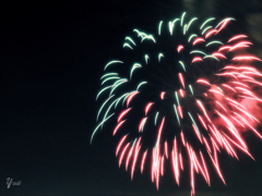 fireworks8