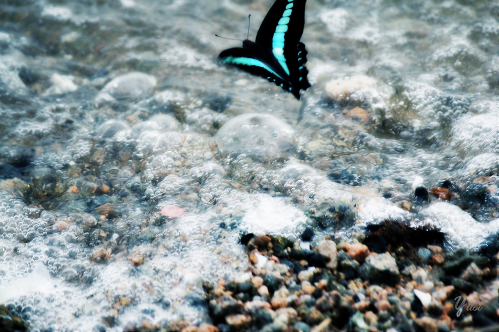 over the sea