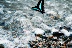 over the sea