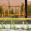 road side