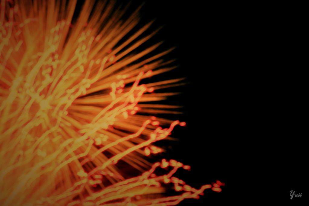 fireworks6