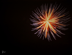 fireworks5
