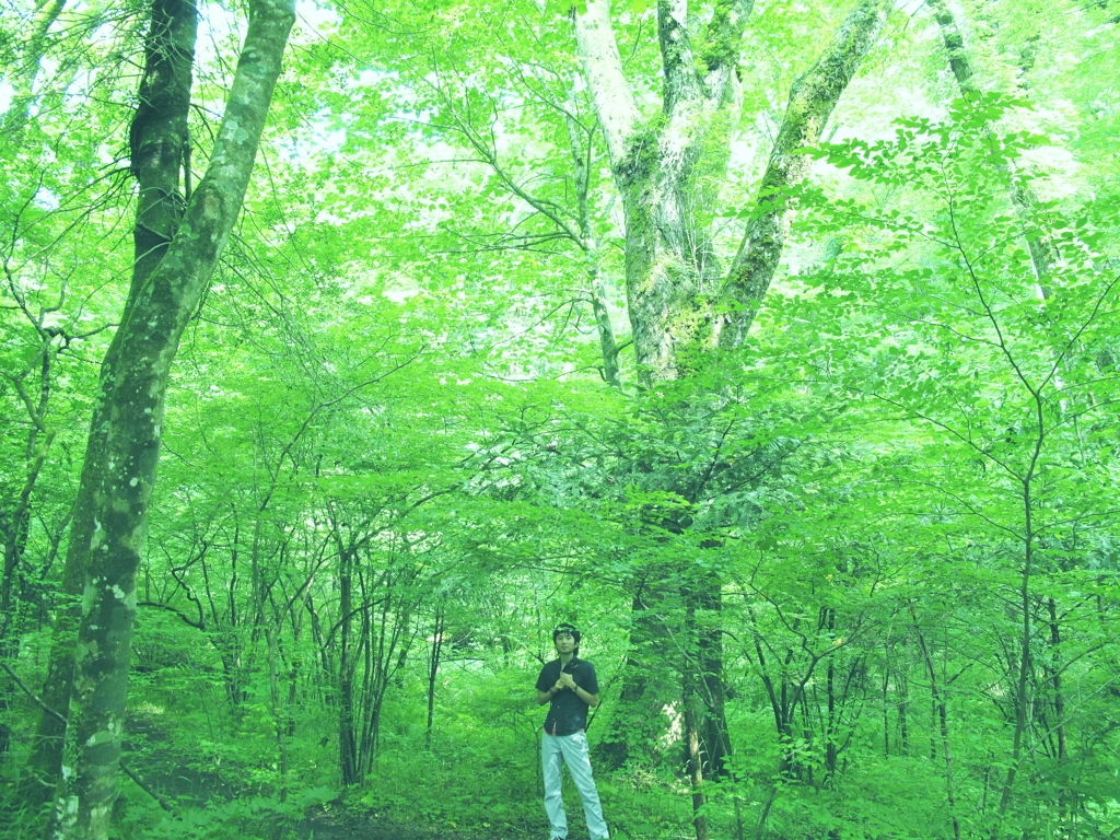 Dozing green