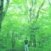 Dozing green