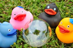 ぼくたちが守る！