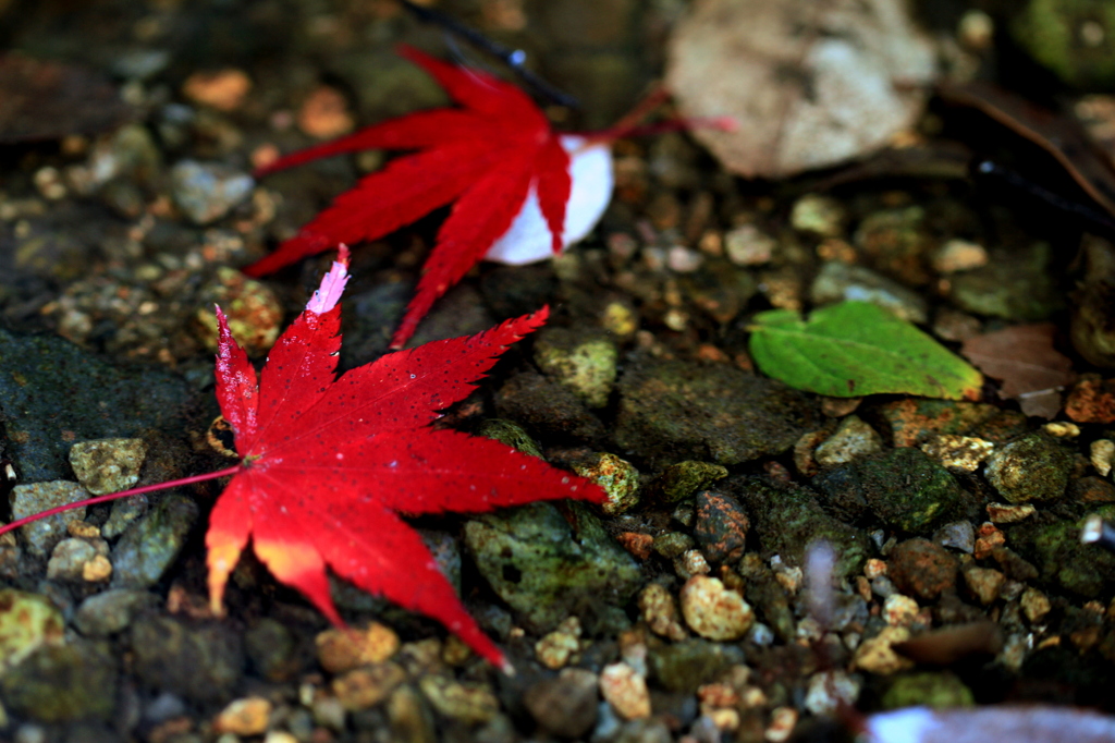 花笠道中