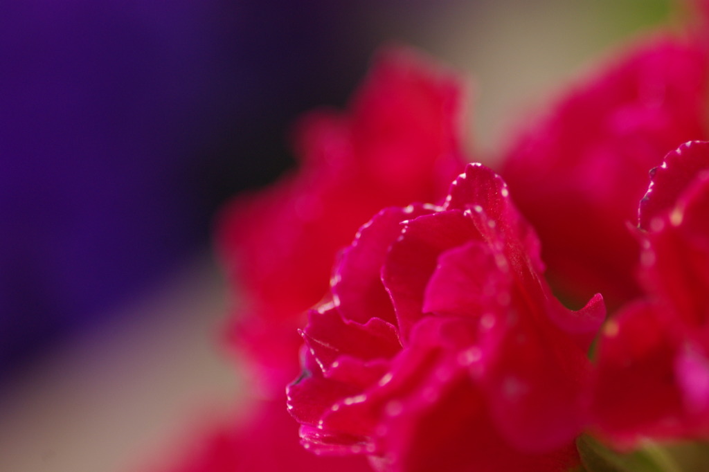 華