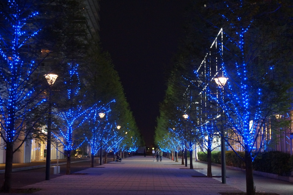 blue  light  yokohama Ⅱ