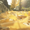 冬の光?  ｐａｒｔ３～