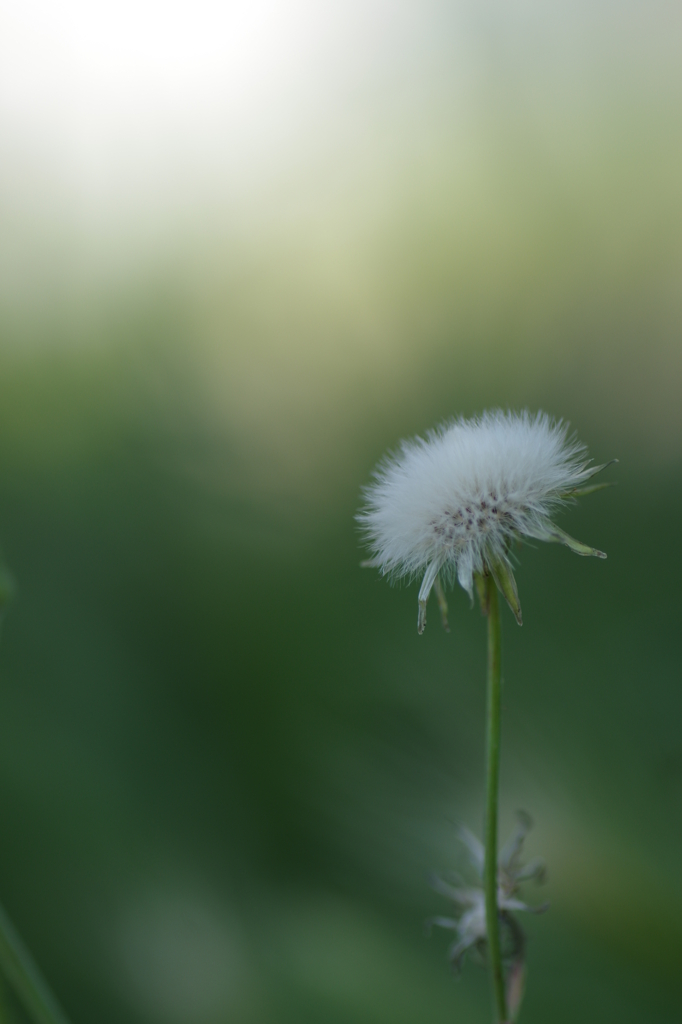 空虚な瞬間（とき）・・