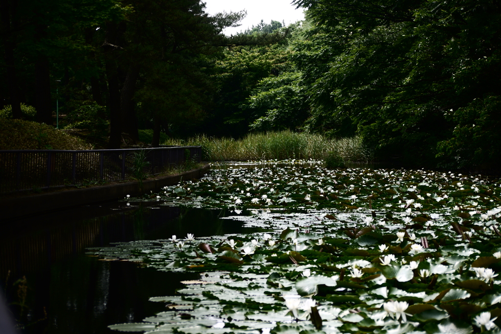 横浜散策～