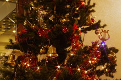 merry　chiristmas~!