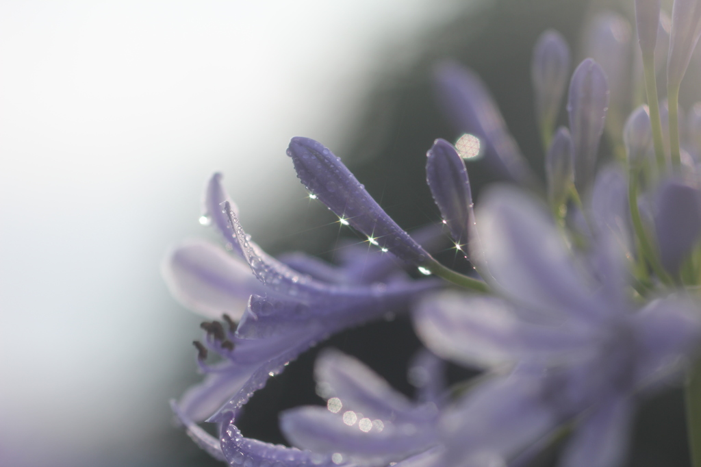 雨あがり・・・