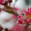夏っこ～　－２－