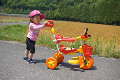お散歩