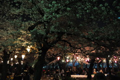 Nagoya Business trip