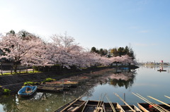 lakeside in one beautiful day