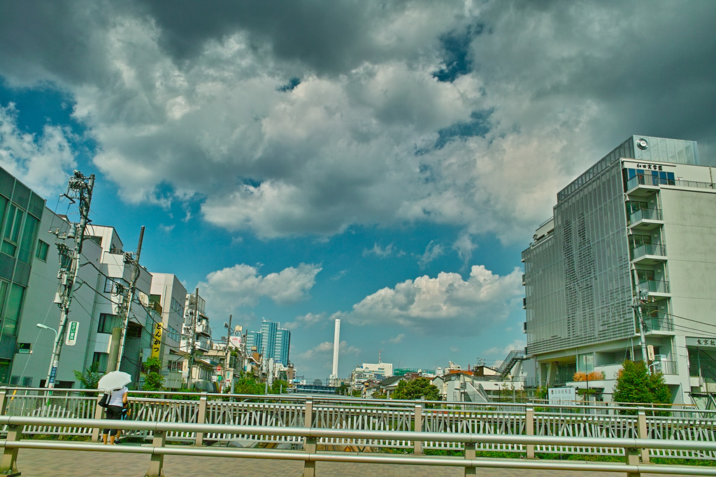 SDIM2395