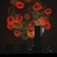 ランドマークフラワー
