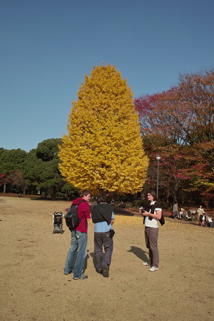 SDIM1368ss