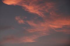 雲