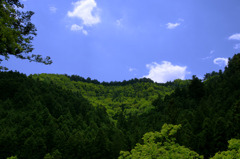 山と新緑と空
