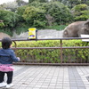 初めてみるゾウ