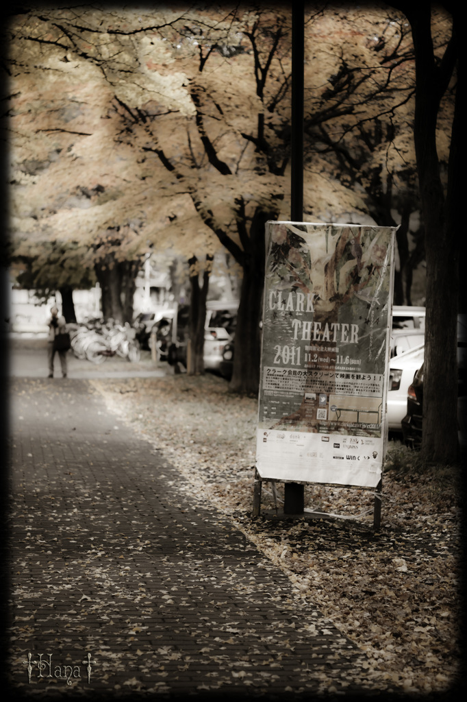 Hokkaido University
