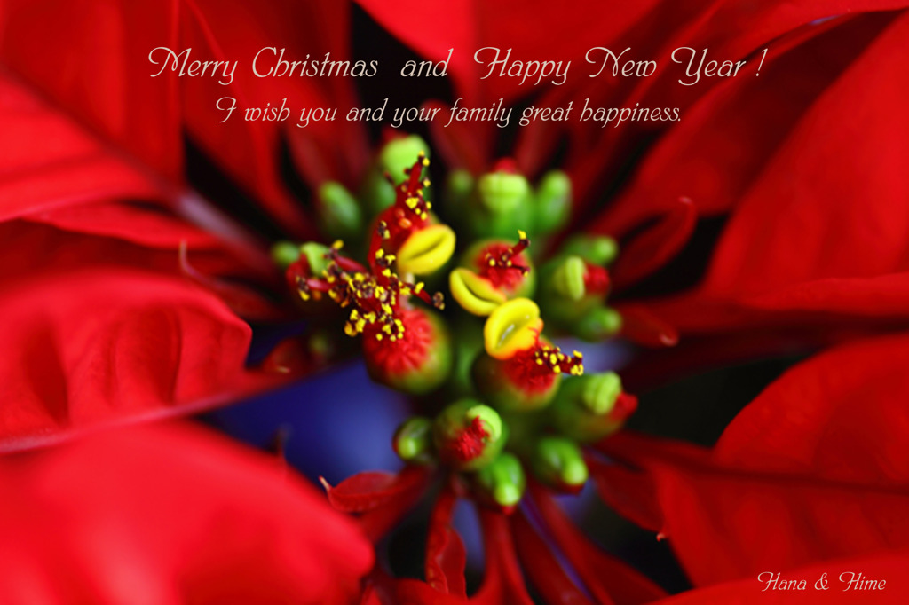 Merry Chrisｔmas　＆　Happy New Year