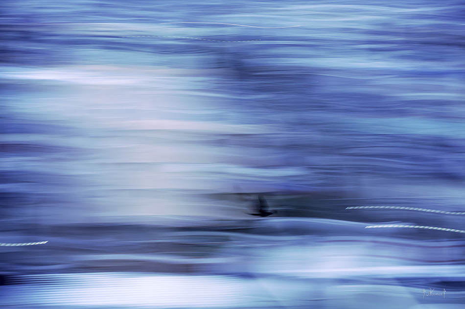FLYING IN A BLUE DREAM