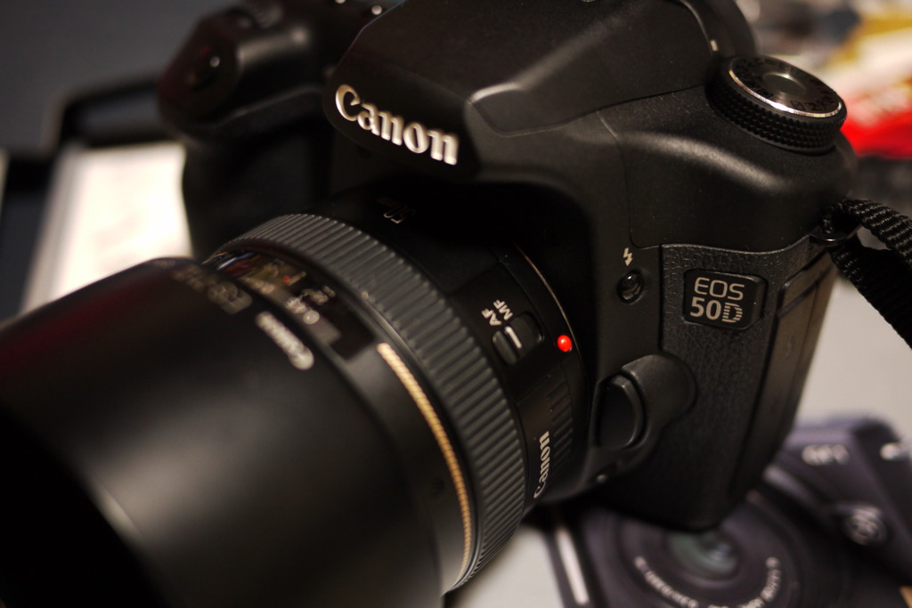 50Dの写真