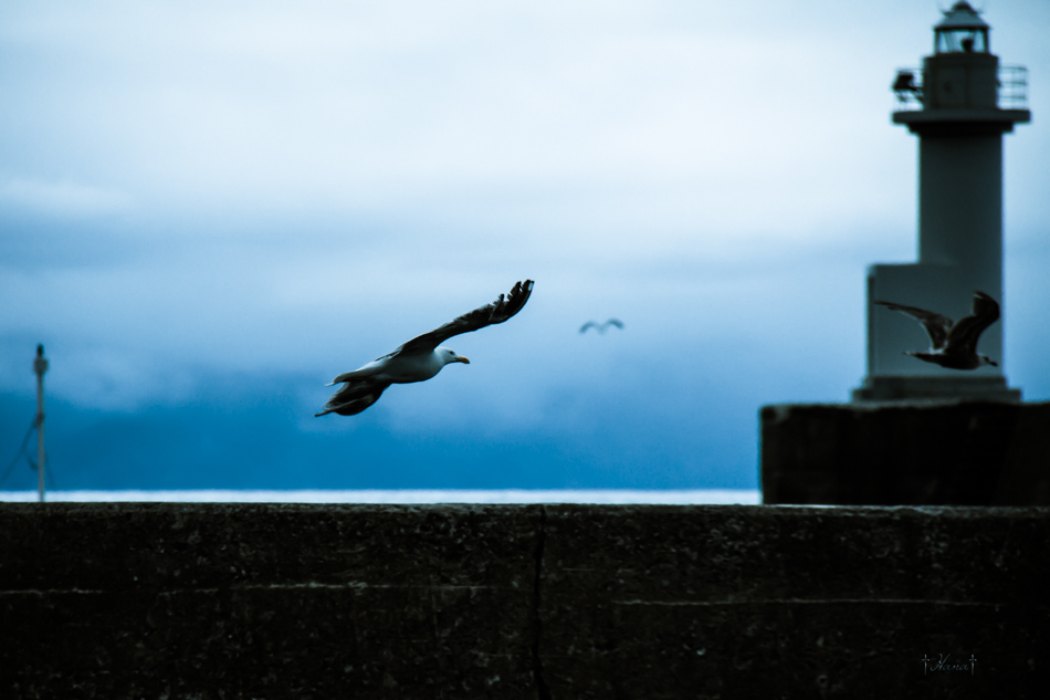 Freely