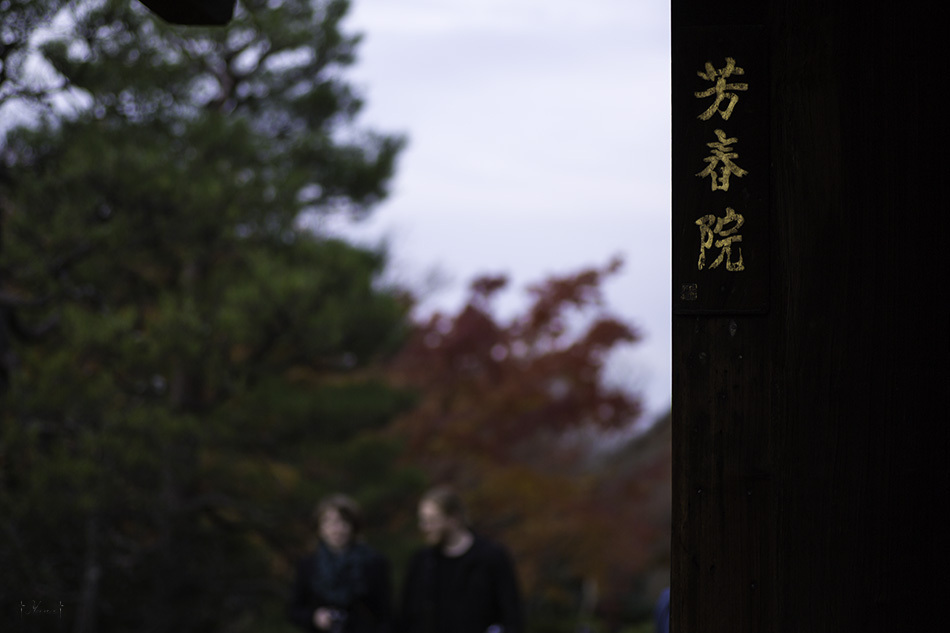 私の見た京都