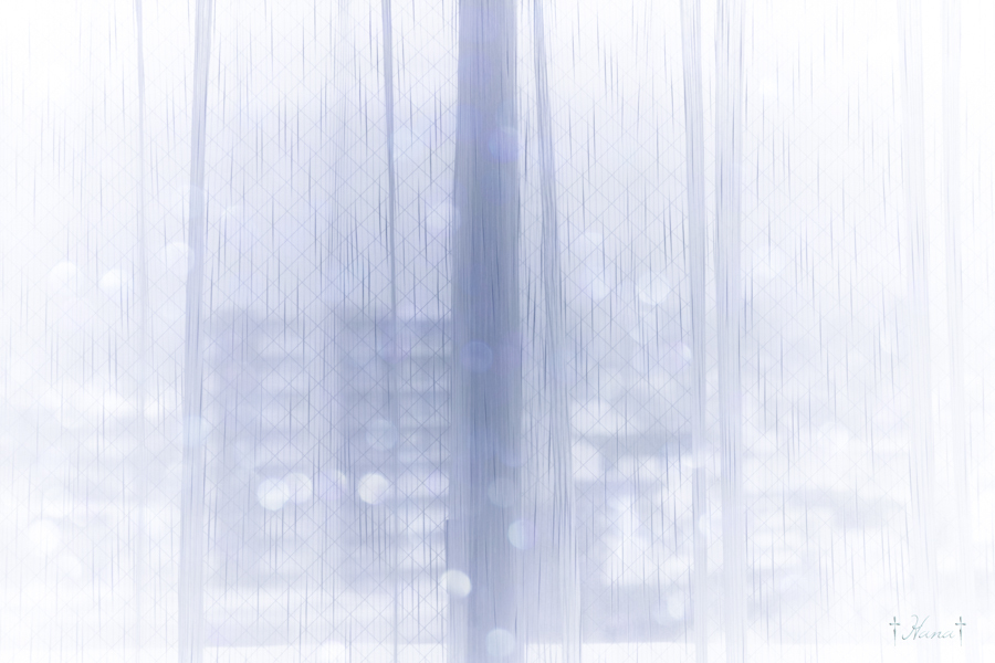 恋しくて…