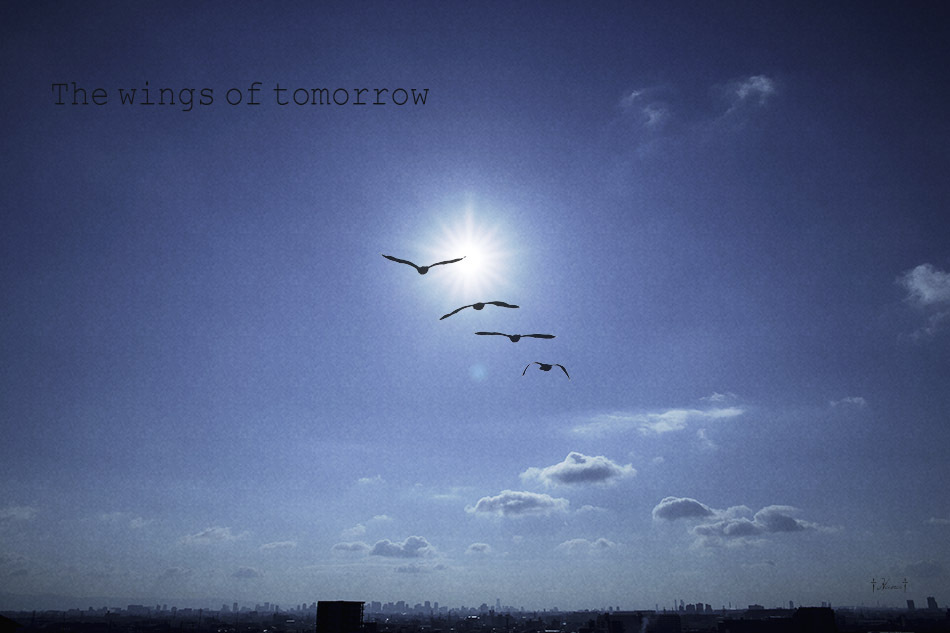 The wings of tomorrow