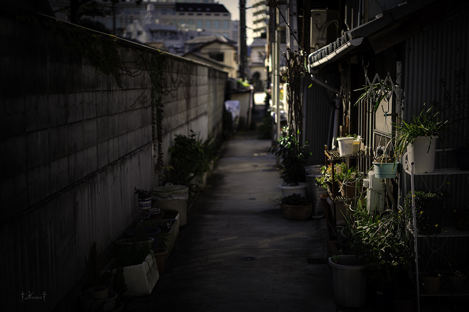路地裏