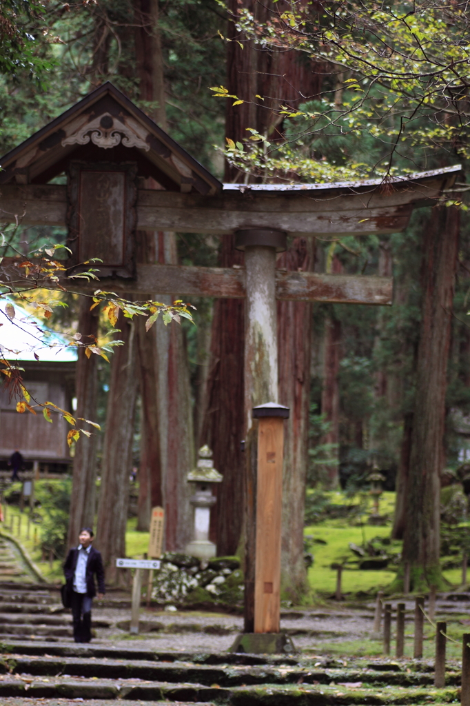 平泉寺白山神社