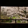 風流