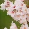 彩り