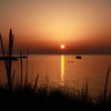 夕日