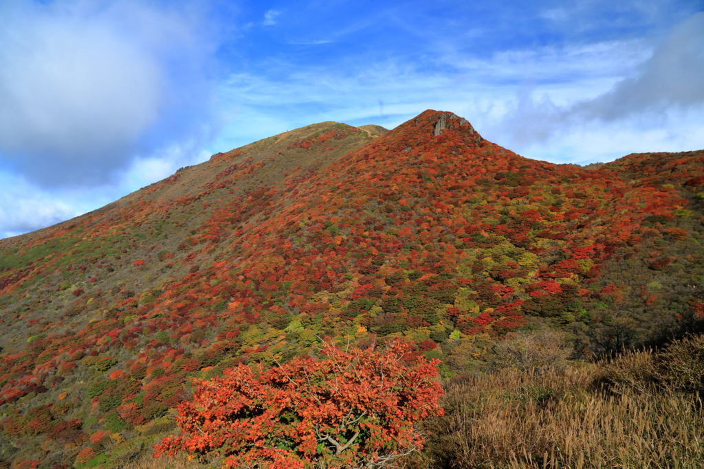 山頂