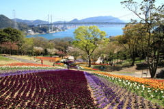 トルコチューリップ園