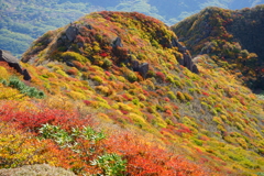 くじゅうの紅葉Ⅲ