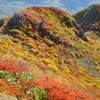 くじゅうの紅葉Ⅲ