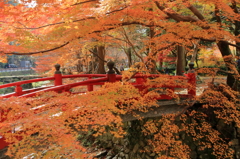 もみじ橋